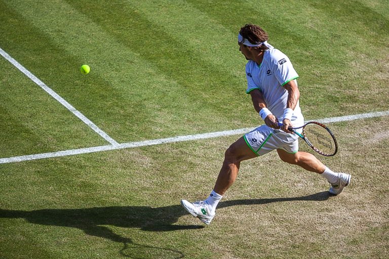 David Ferrer Tennis II